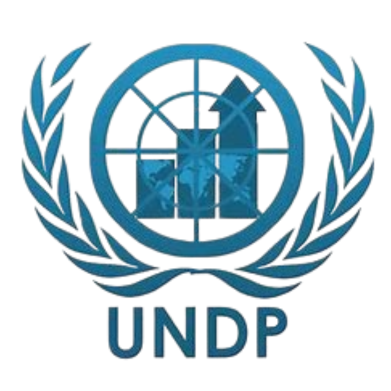 United Nations Development Programme Logo